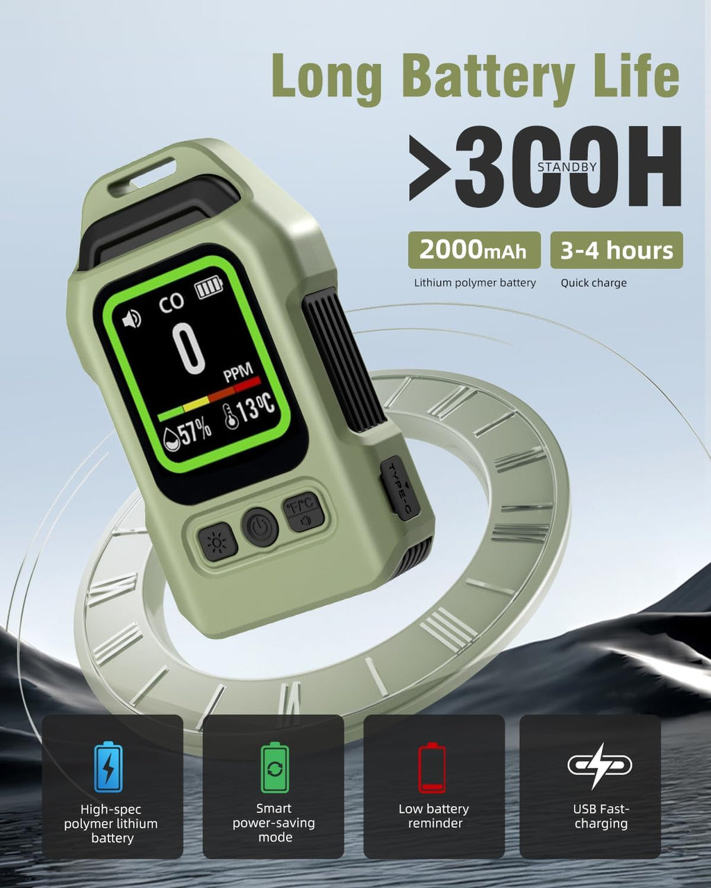 Portable Carbon Monoxide Detector